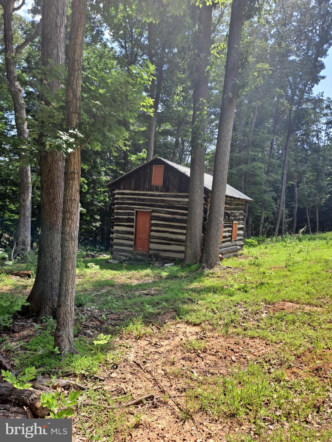 1079 Little Mountain Road Cabins, WV 26855 - Photo 31 of 50 a backyard of a house with lots of green space