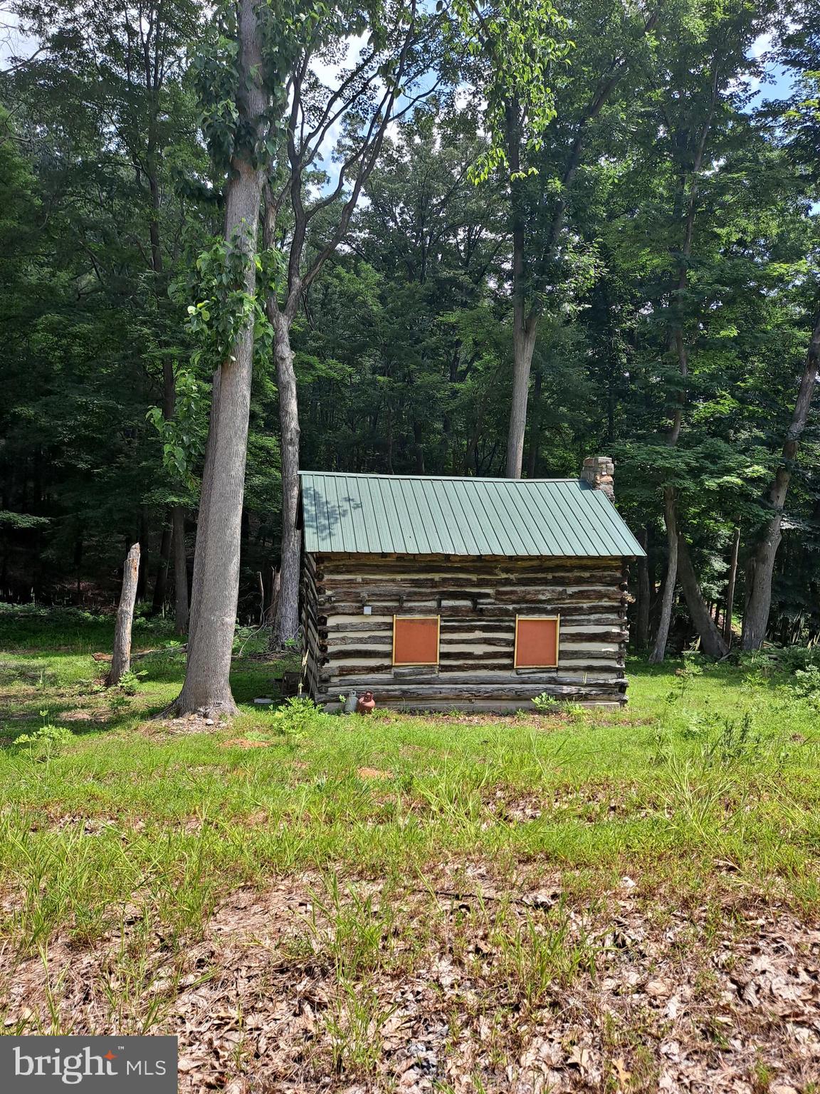 1079 Little Mountain Road Cabins, WV 26855 - Photo 32 of 50 a backyard of a house with lots of green space