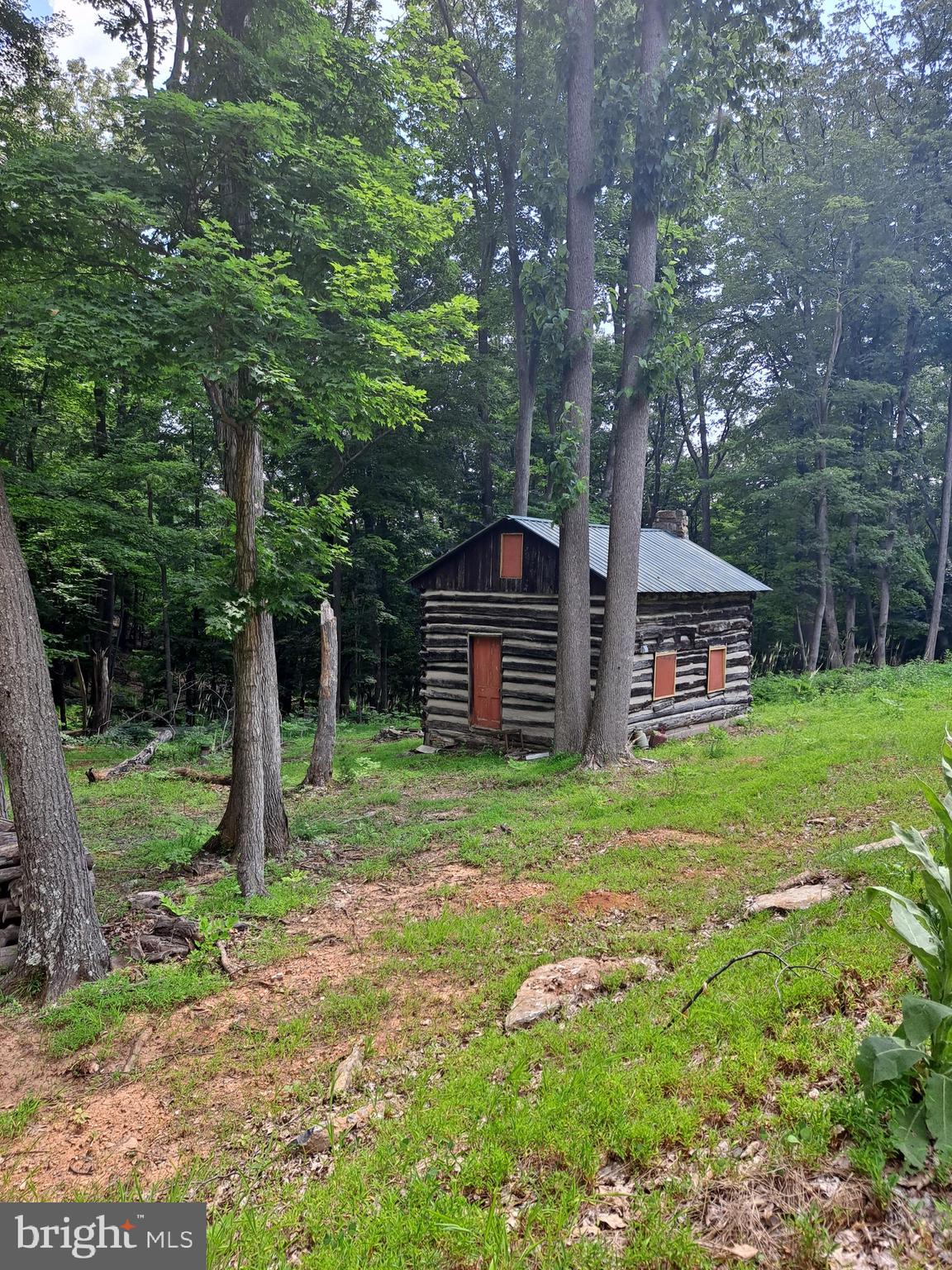 1079 Little Mountain Road Cabins, WV 26855 - Photo 33 of 50 a view of a house with backyard and garden