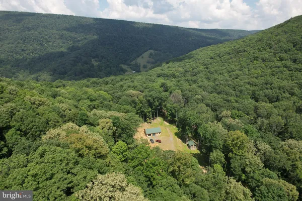 a view of a bunch of trees in background