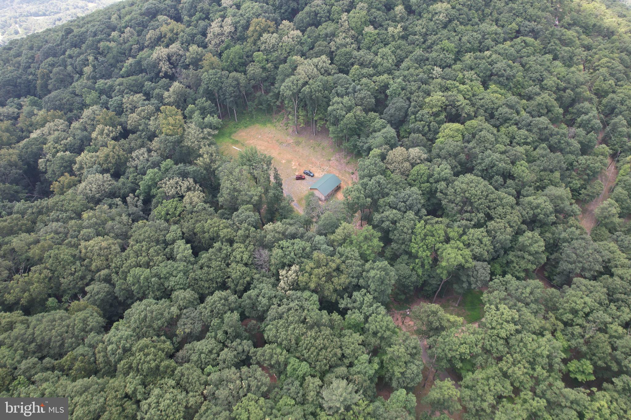 1079 Little Mountain Road Cabins, WV 26855 - Photo 38 of 50 an aerial view of residential house with outdoor space and trees around