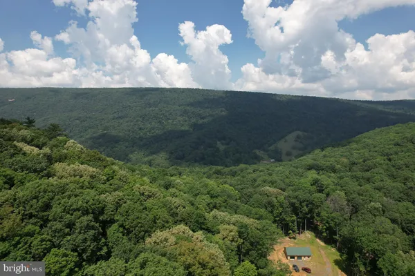 a view of a backyard with a tree