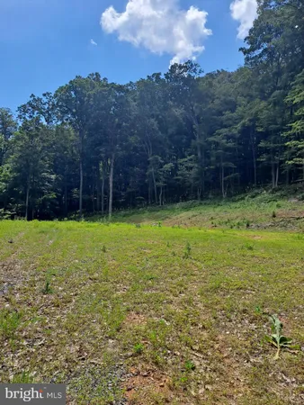 a view of a park with large trees