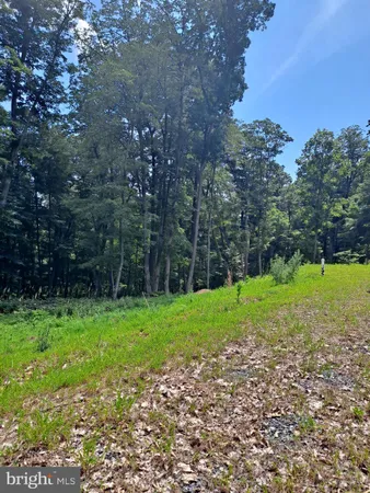 $150,000 | 1079 Little Mountain Road, Cabins, WV 26855