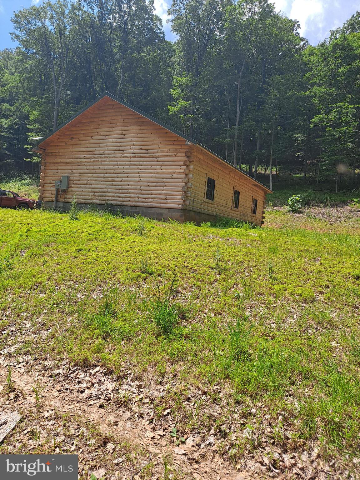 1079 Little Mountain Road Cabins, WV 26855 - Photo 5 of 50 a backyard of a house with lots of green space