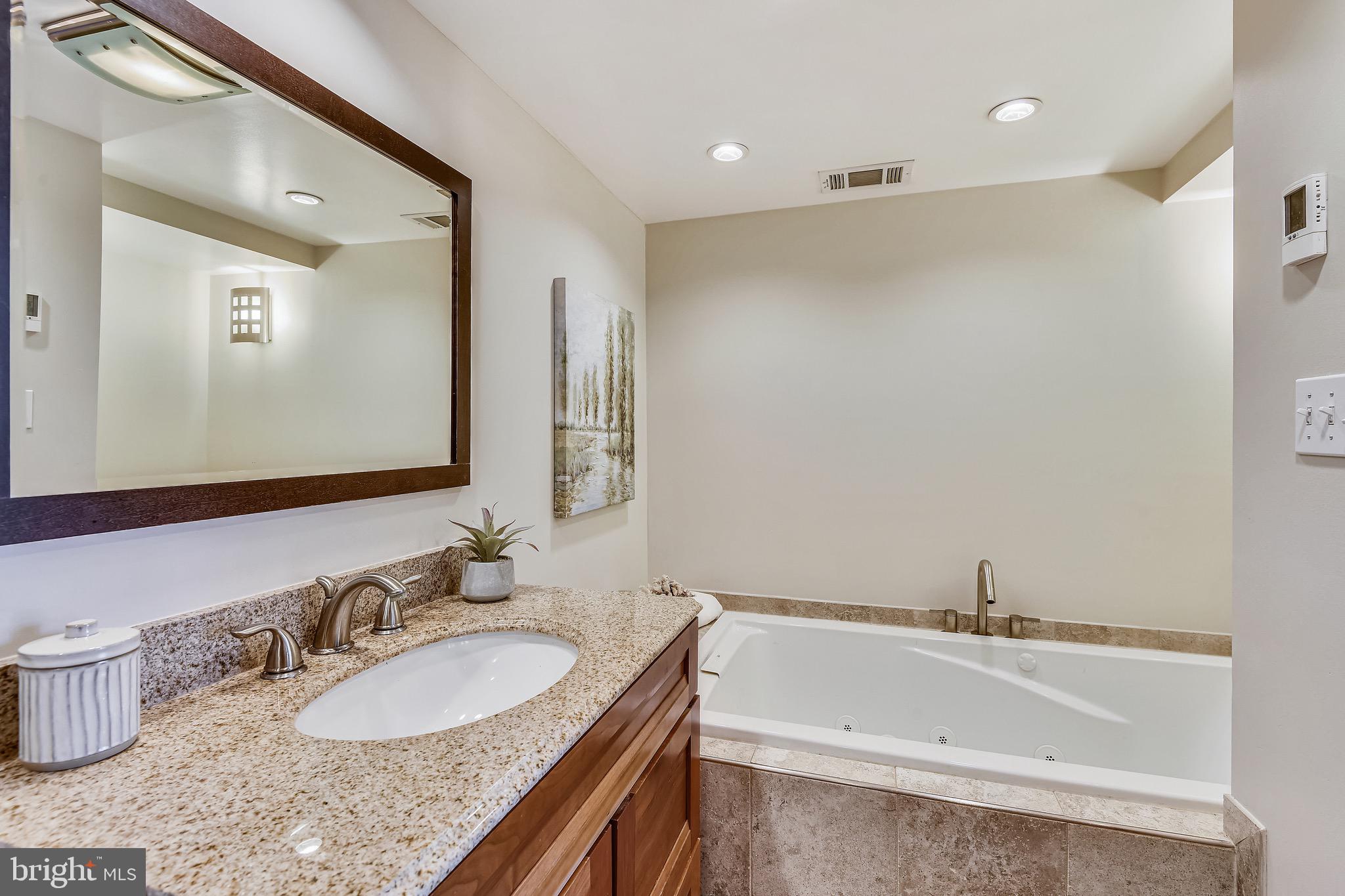 3003 Cedar Hill Road Falls Church, VA 22042 - Photo 25 of 40 Lower level full bath with separate tub & shower.
