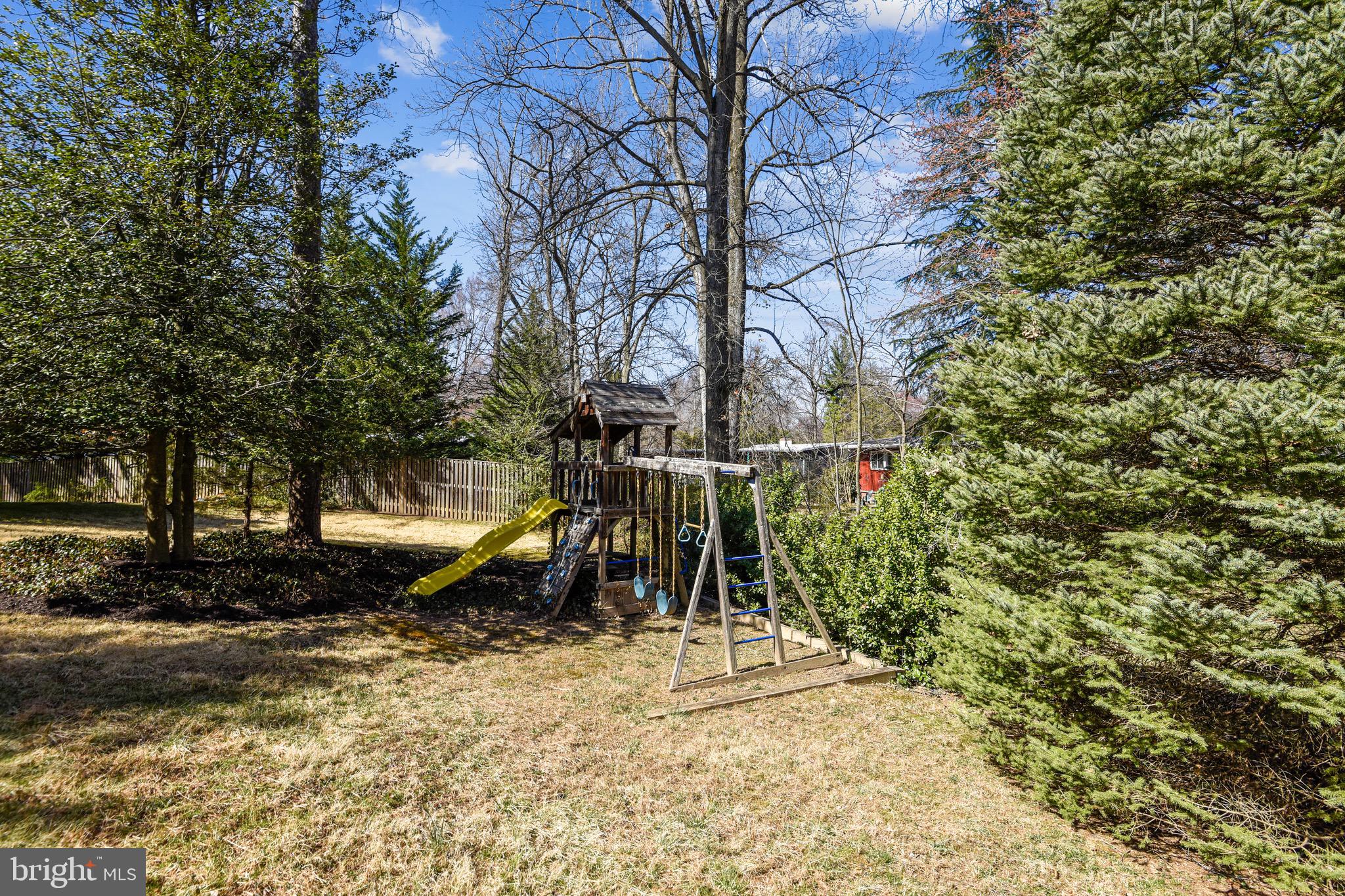 3003 Cedar Hill Road Falls Church, VA 22042 - Photo 37 of 40 Large back yard with mature trees.