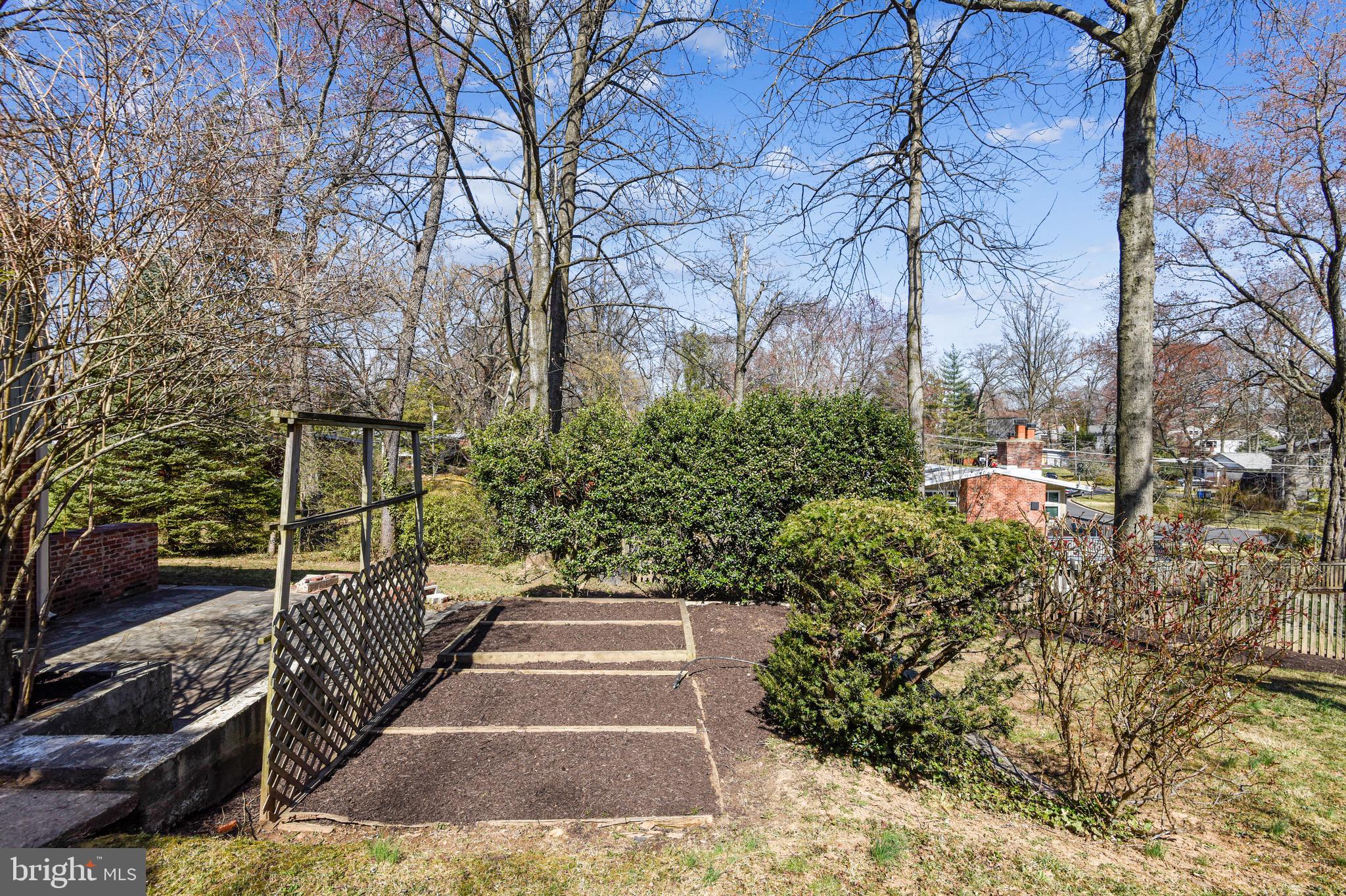 3003 Cedar Hill Road Falls Church, VA 22042 - Photo 38 of 40 Raised garden beds along side yard.