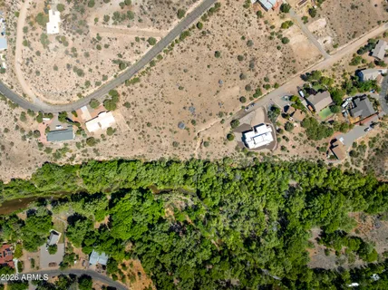 a view of a yard with plants and large trees