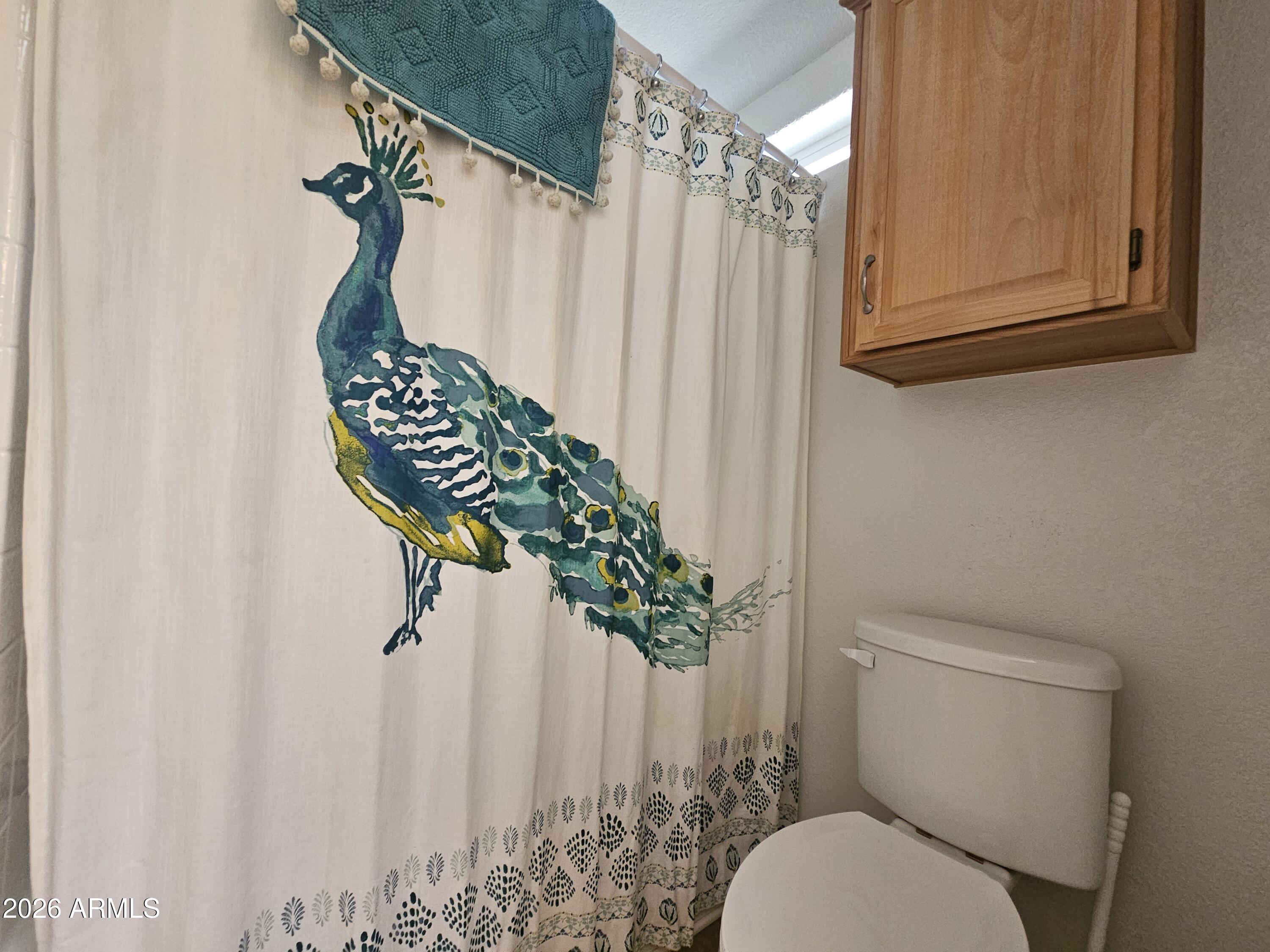 650 North Hawes Road, Unit 4818 Mesa, AZ 85207 - Photo 32 of 50 20260402_101400