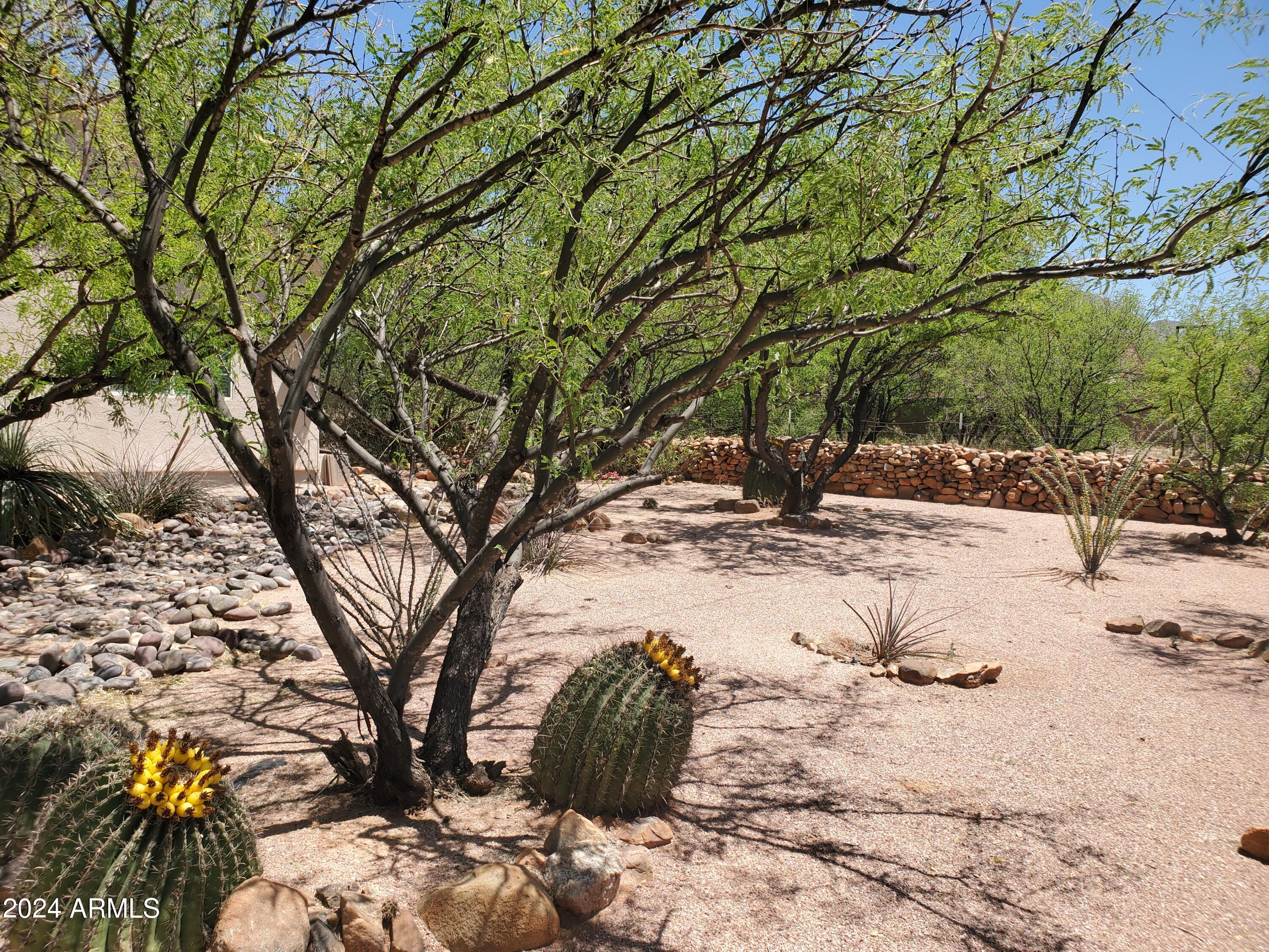 1614 Shea Court, Unit 8 Rio Rico, AZ 85648 - Photo 30 of 49 20240429_120240
