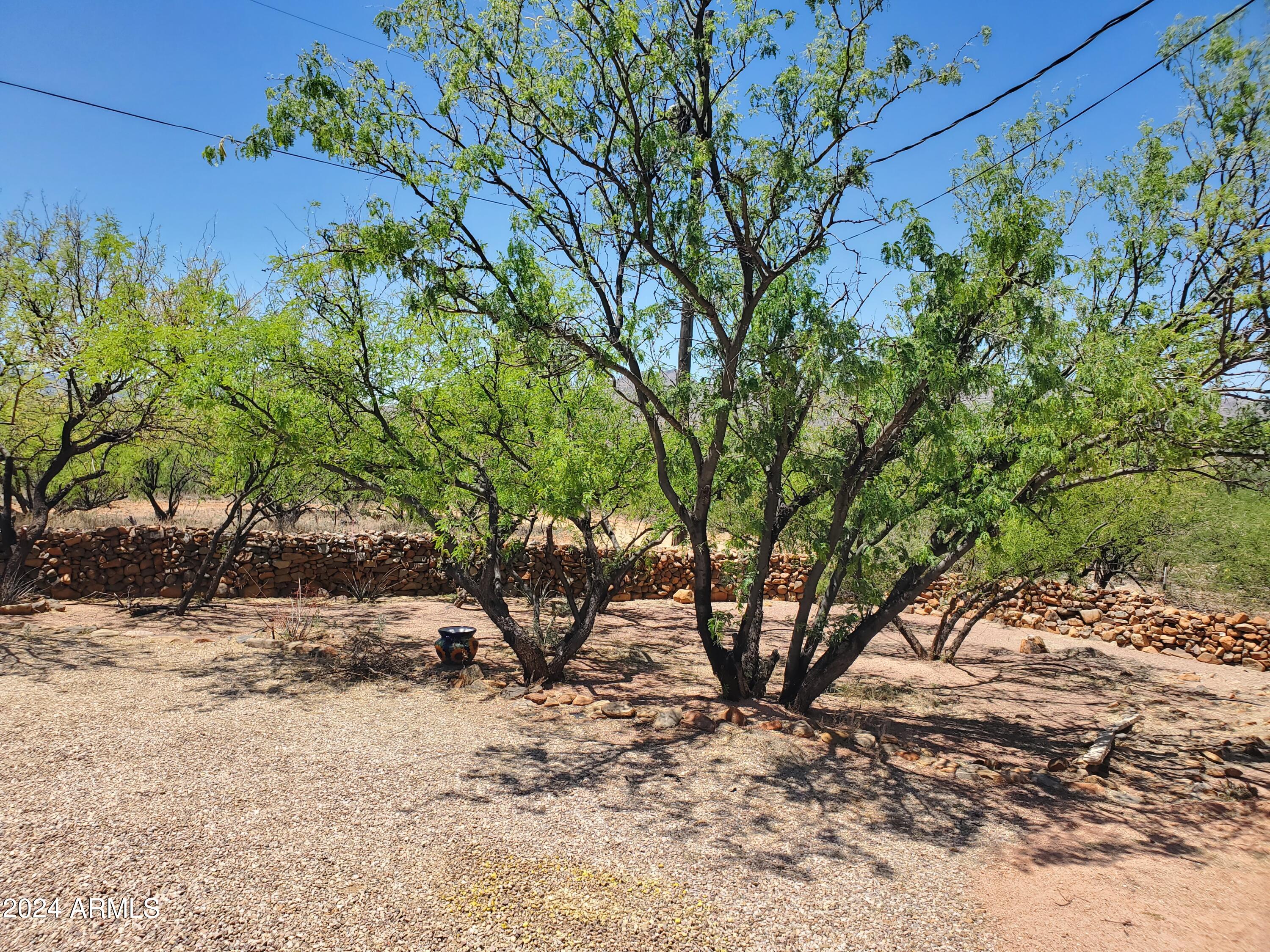 1614 Shea Court, Unit 8 Rio Rico, AZ 85648 - Photo 33 of 49 20240429_120417