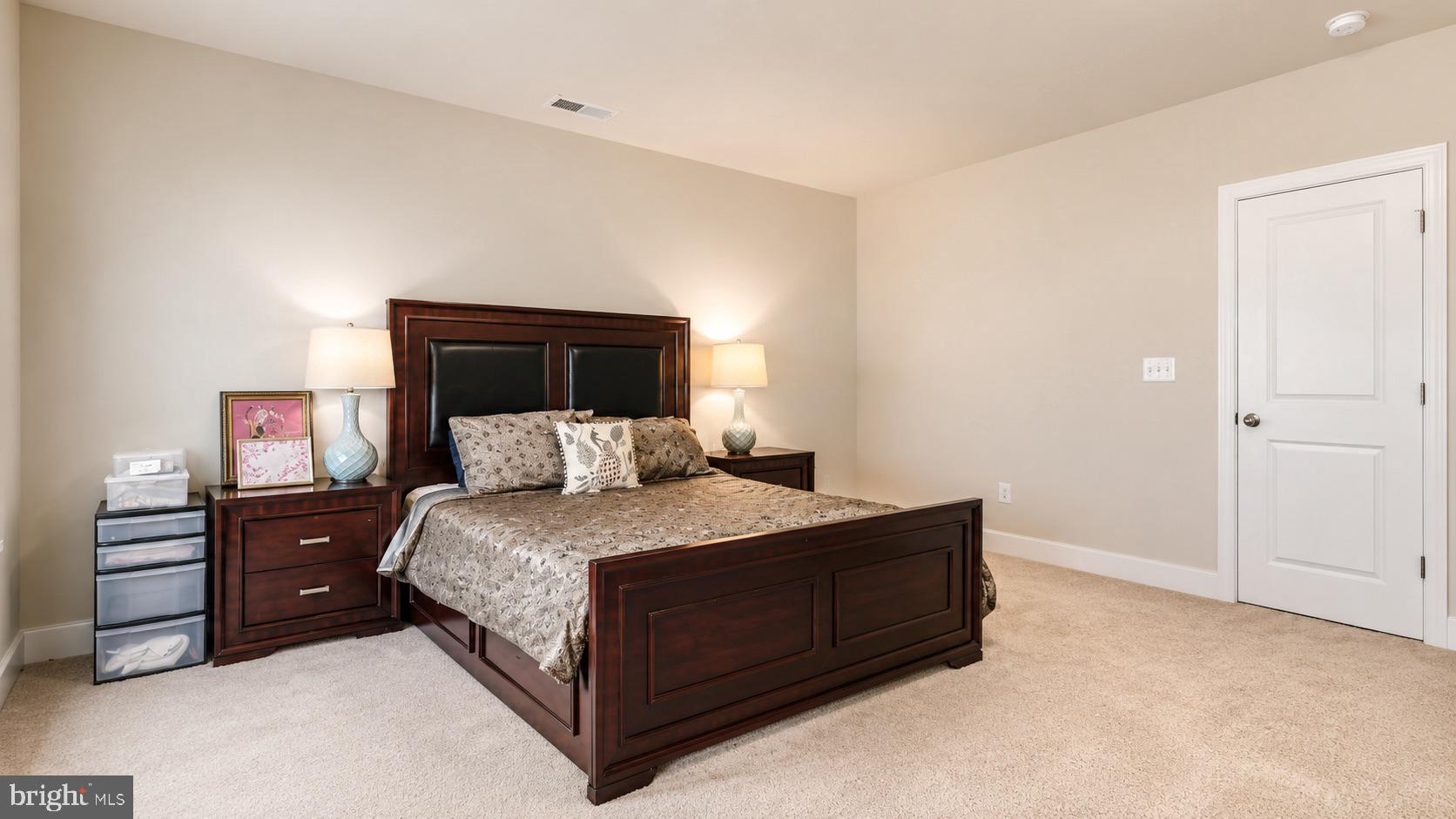 23609 Roselle Ridge Lane Aldie, VA 20105 - Photo 57 of 75 Serene bedroom with warm ambiance.