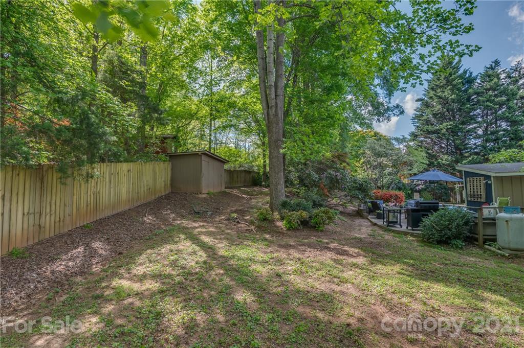 137 Anne Street Rutherfordton, NC 28139 - Photo 43 of 45 a view of a backyard with plants and a lake