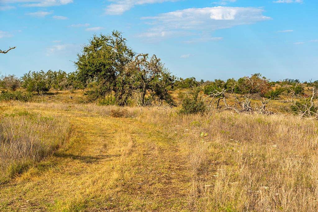 4551 Reeh Road Fredericksburg, TX 78624 - Photo 30 of 69 Gallery Image 30