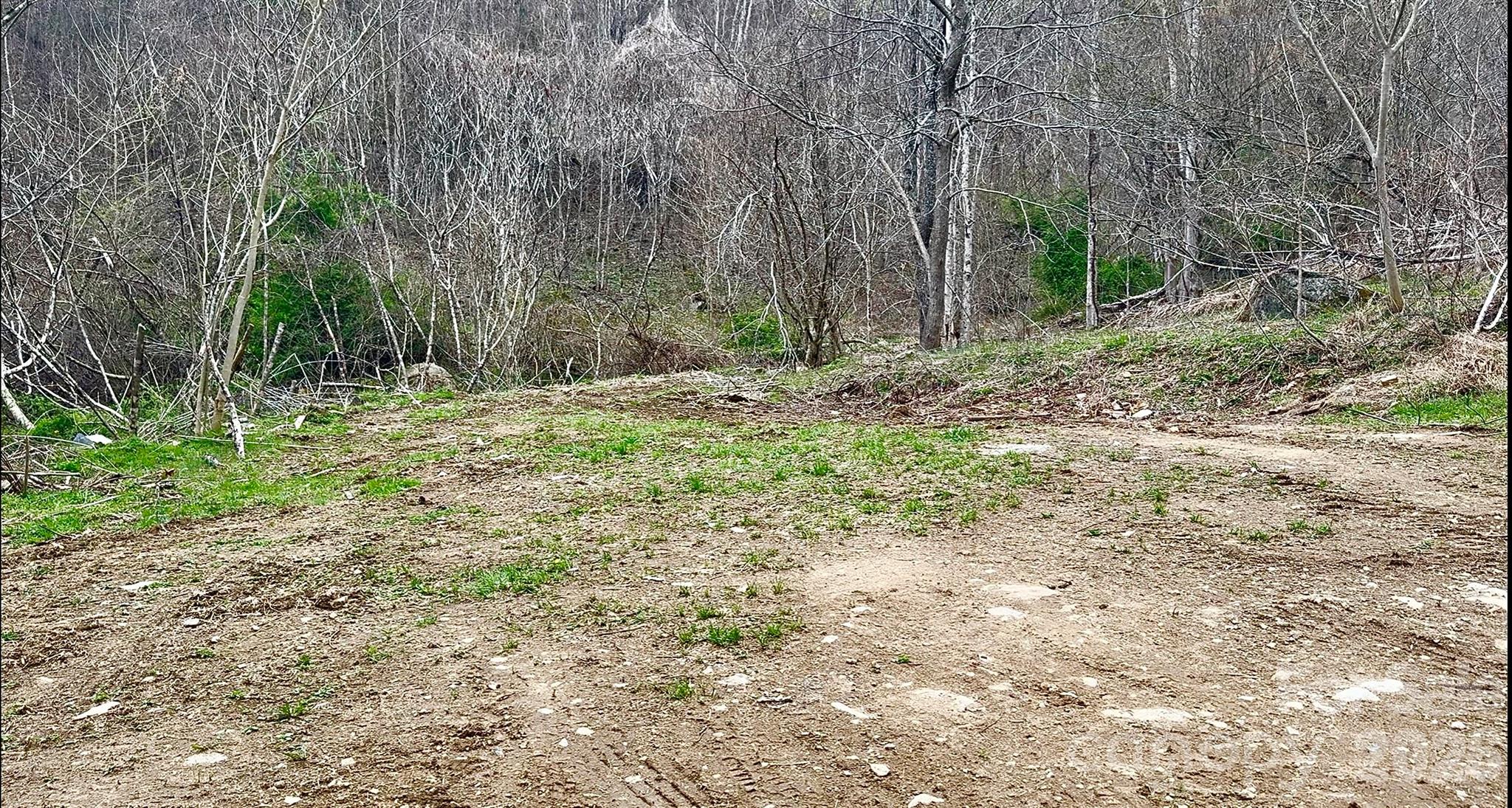 902 Spillcorn Road Marshall, NC 28753 - Photo 4 of 18 Gallery Image 4