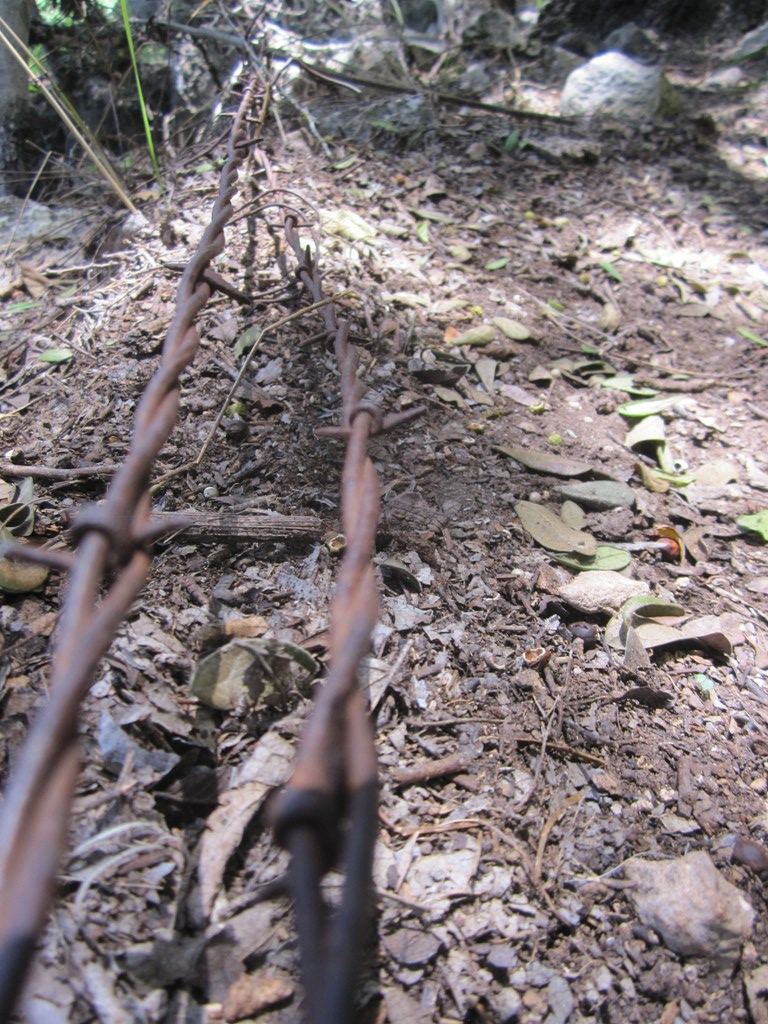 Undisclosed Address Pipe Creek, TX 78063 - Photo 17 of 25