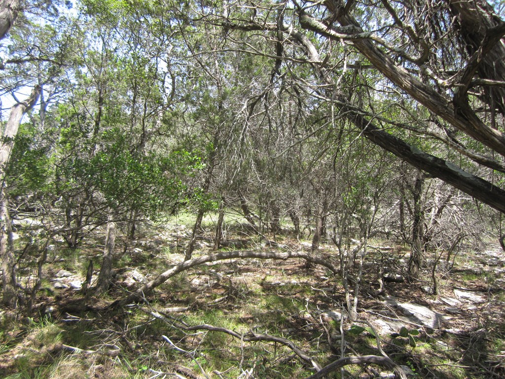 Undisclosed Address Pipe Creek, TX 78063 - Photo 19 of 25