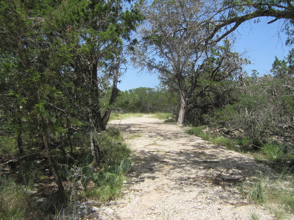 Undisclosed Address Pipe Creek, TX 78063 - Photo 21 of 25
