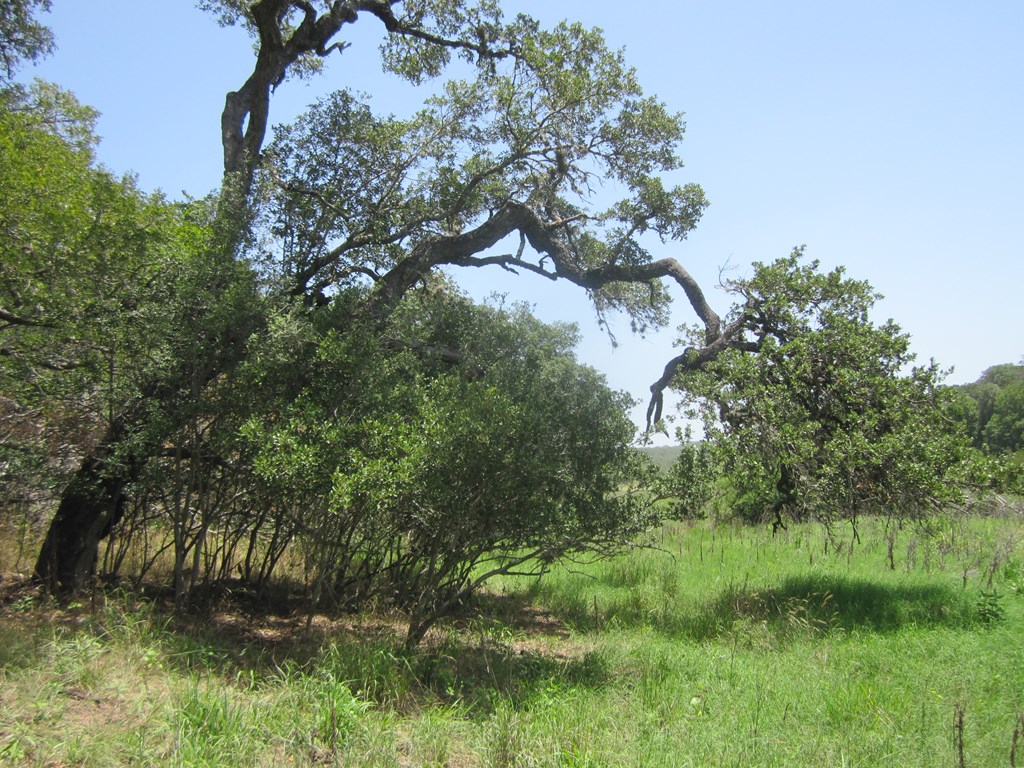 Undisclosed Address Pipe Creek, TX 78063 - Photo 4 of 25