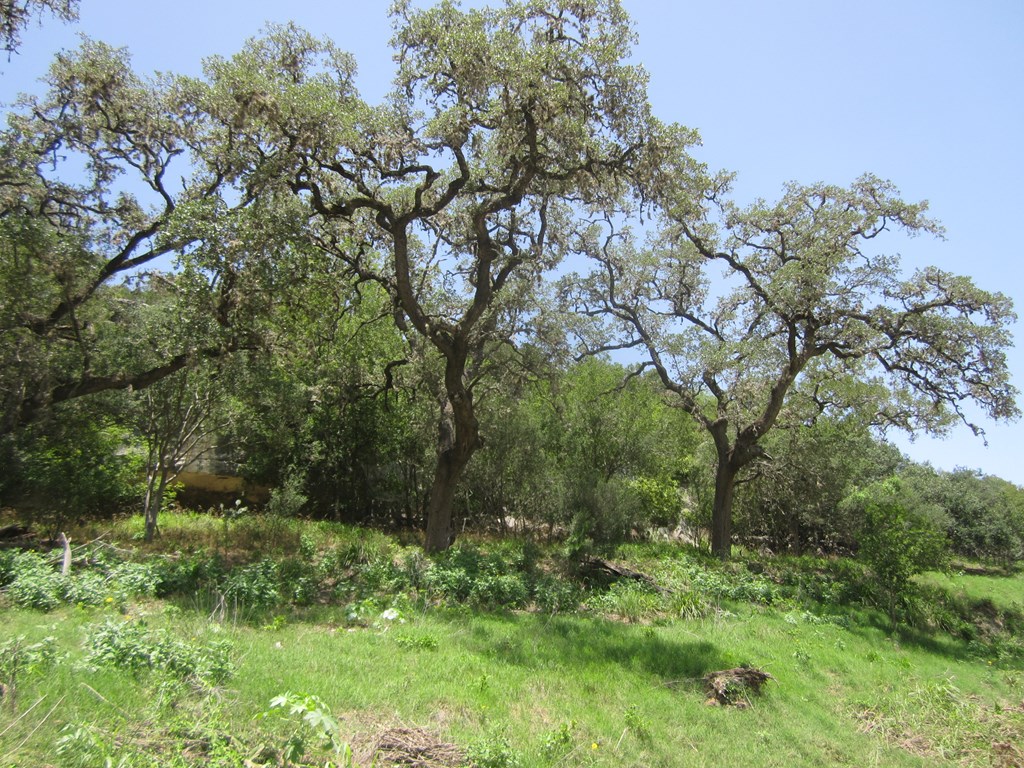 Undisclosed Address Pipe Creek, TX 78063 - Photo 9 of 25