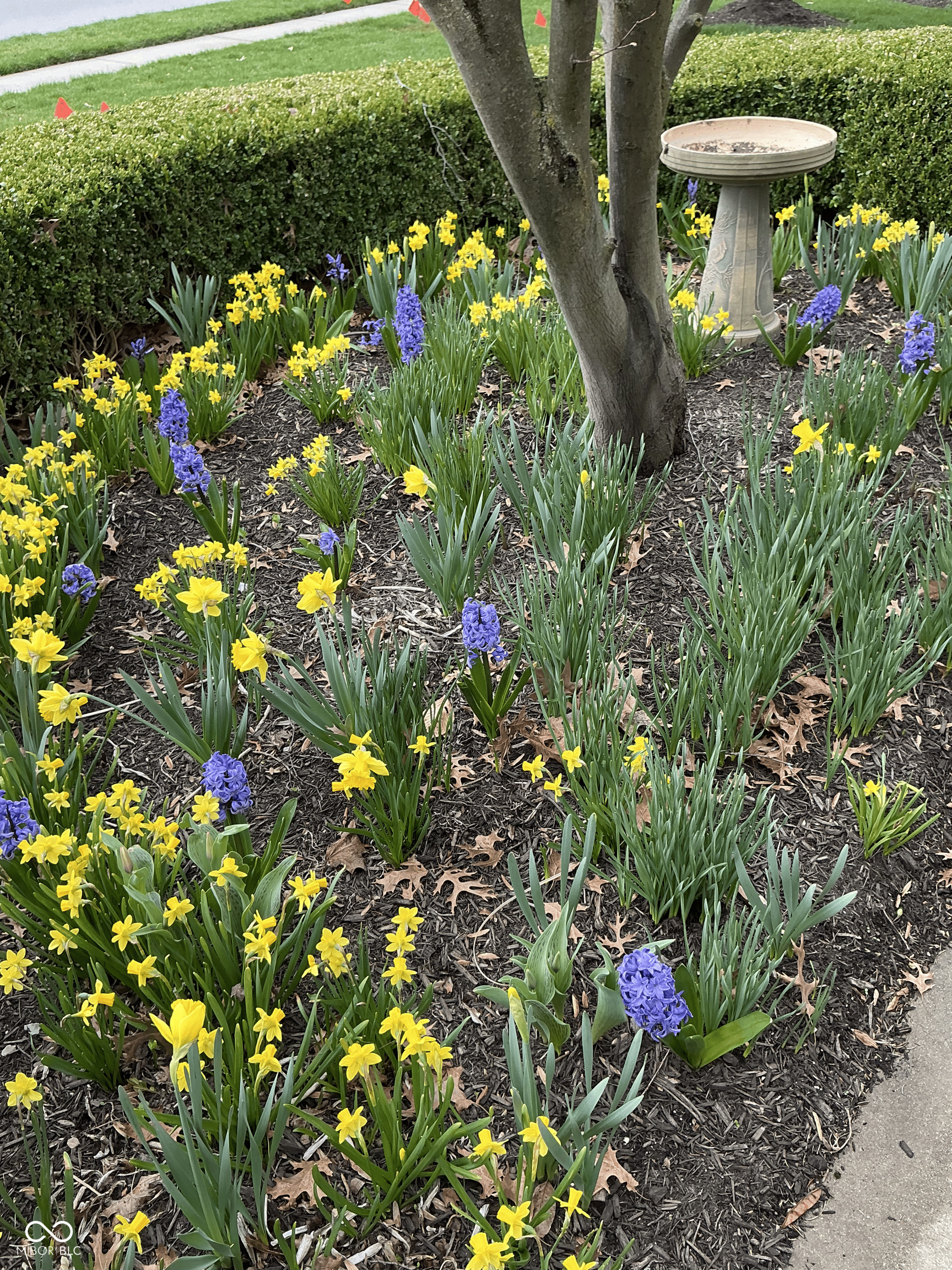 11490 Niagara Drive Fishers, IN 46037 - Photo 65 of 97