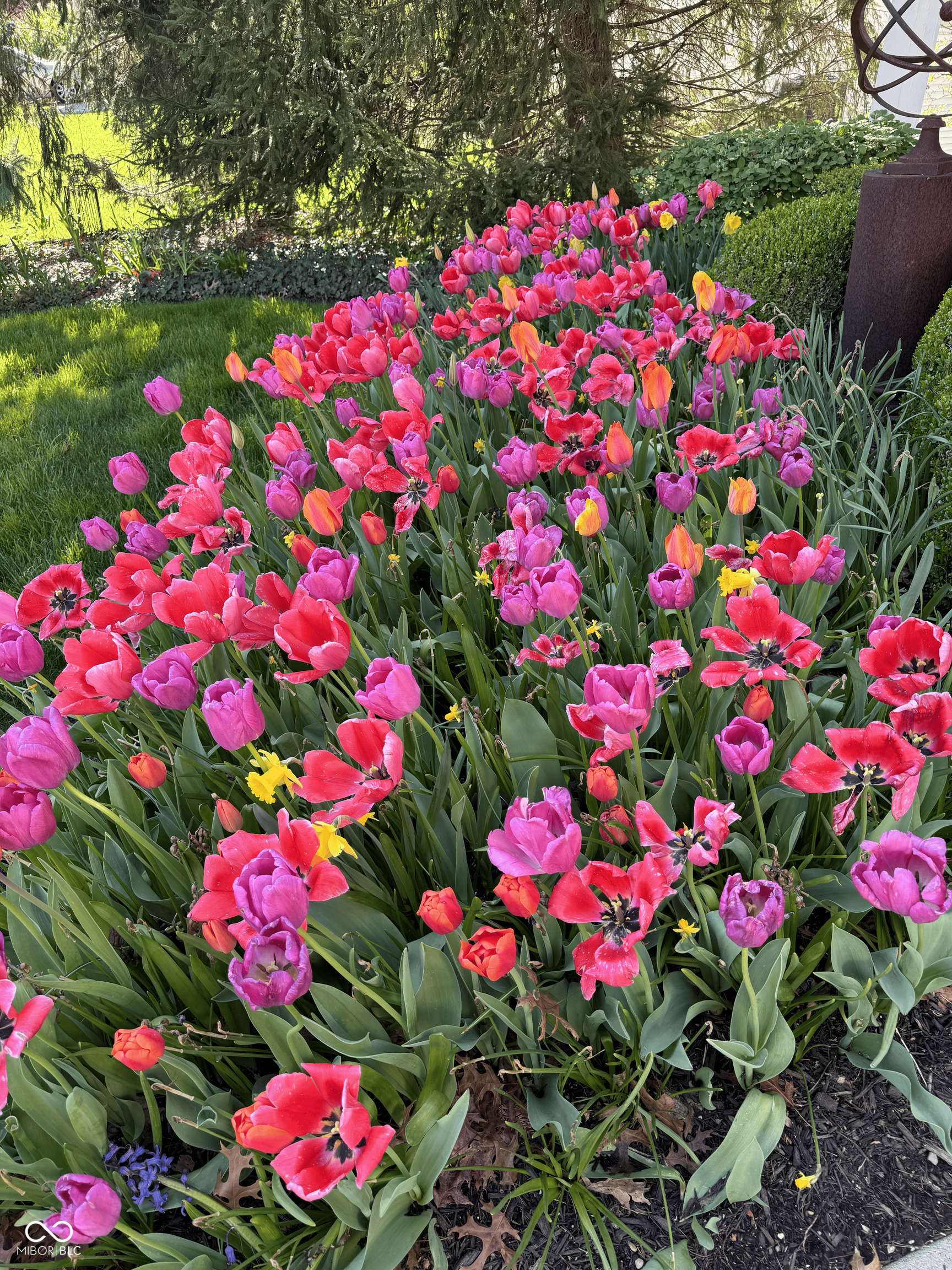 11490 Niagara Drive Fishers, IN 46037 - Photo 68 of 97