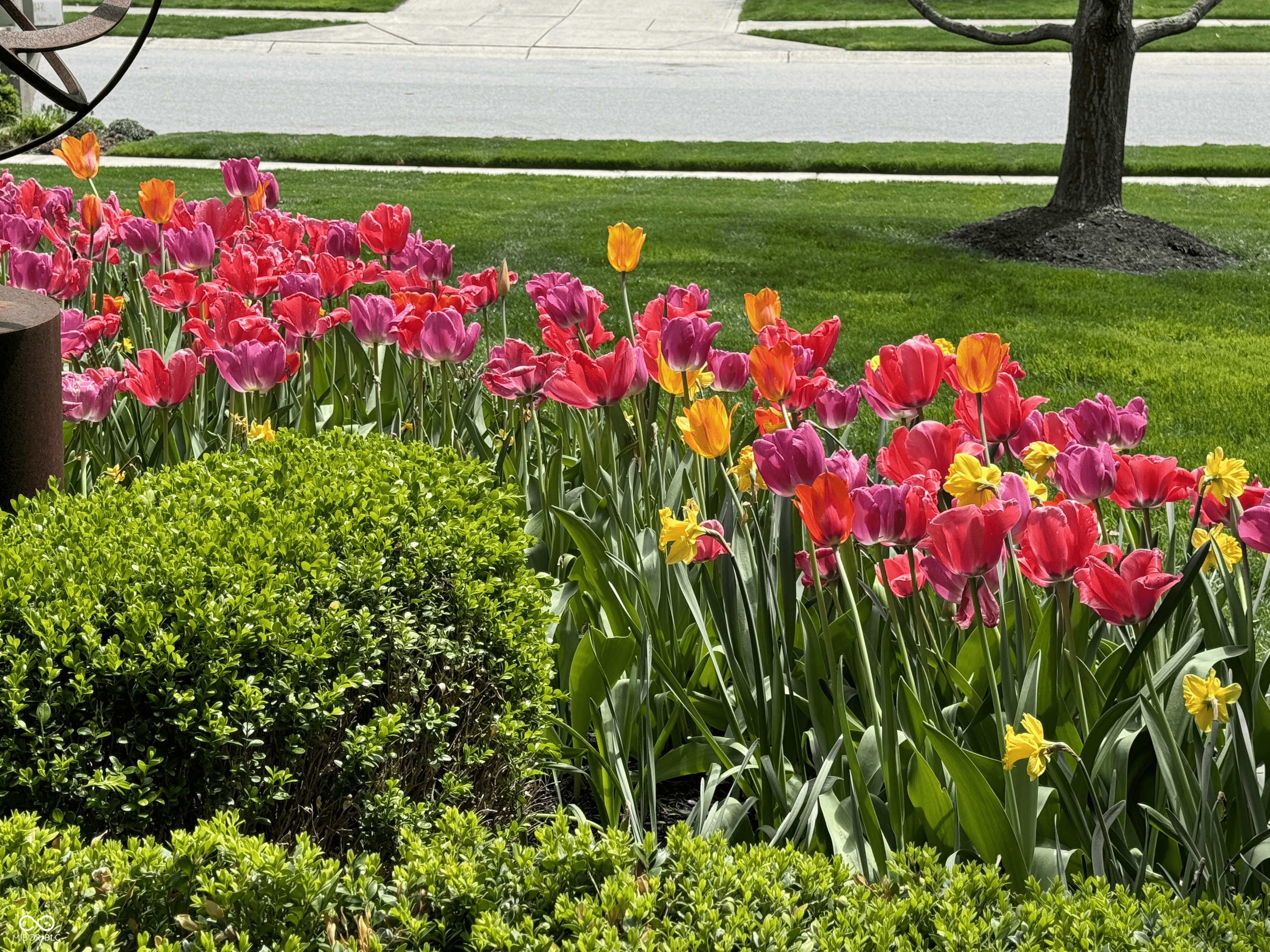 11490 Niagara Drive Fishers, IN 46037 - Photo 69 of 97