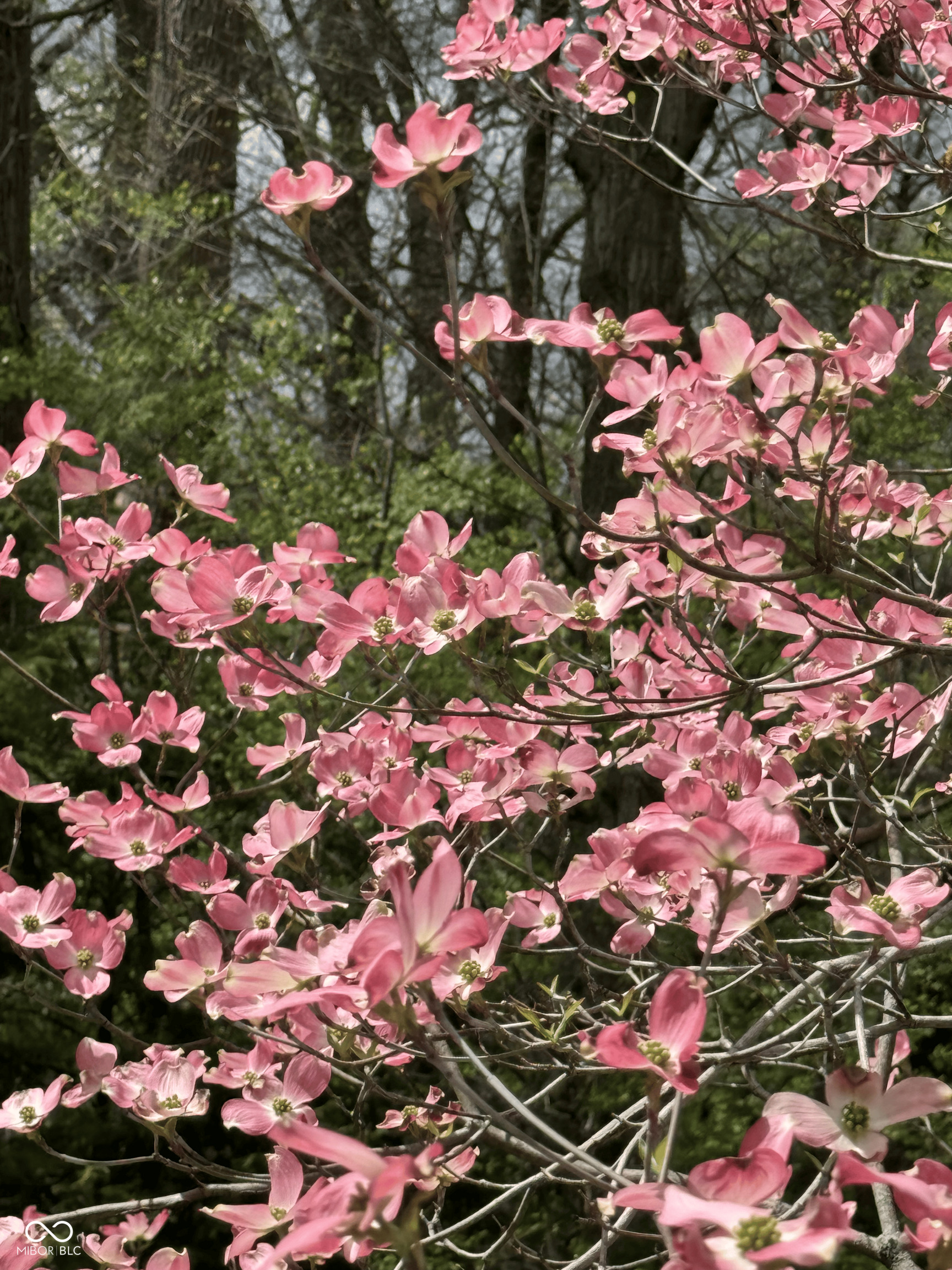 11490 Niagara Drive Fishers, IN 46037 - Photo 70 of 97