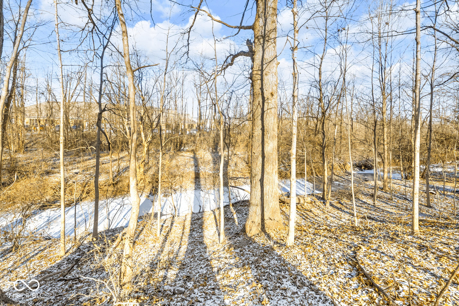 11490 Niagara Drive Fishers, IN 46037 - Photo 84 of 97