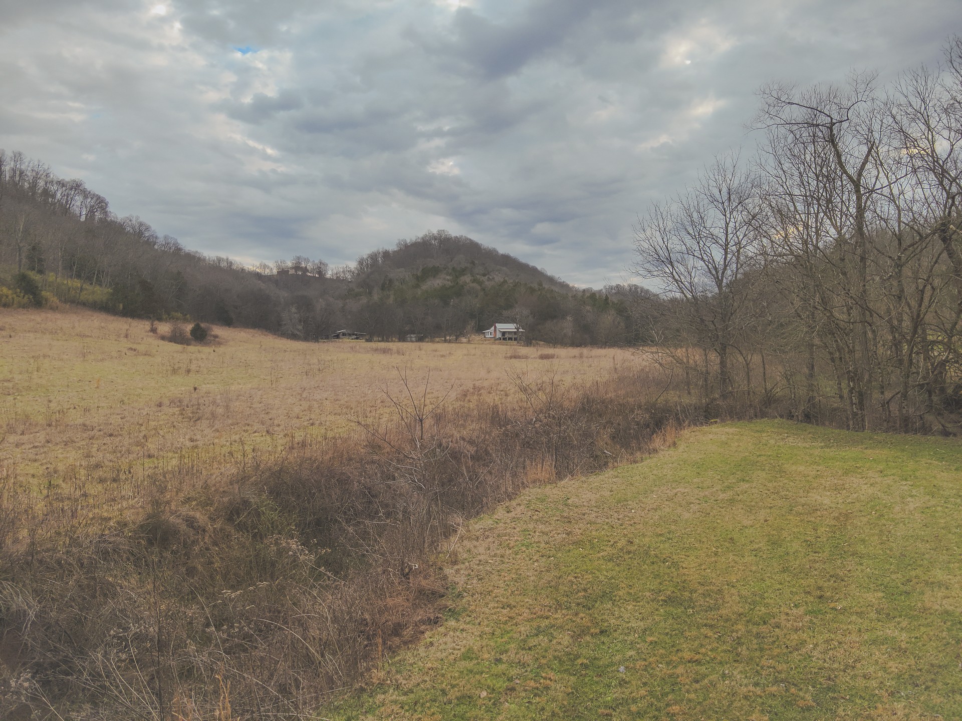 16431 Wallace Hollow Road Silver Point, TN 38582 - Photo 11 of 90
