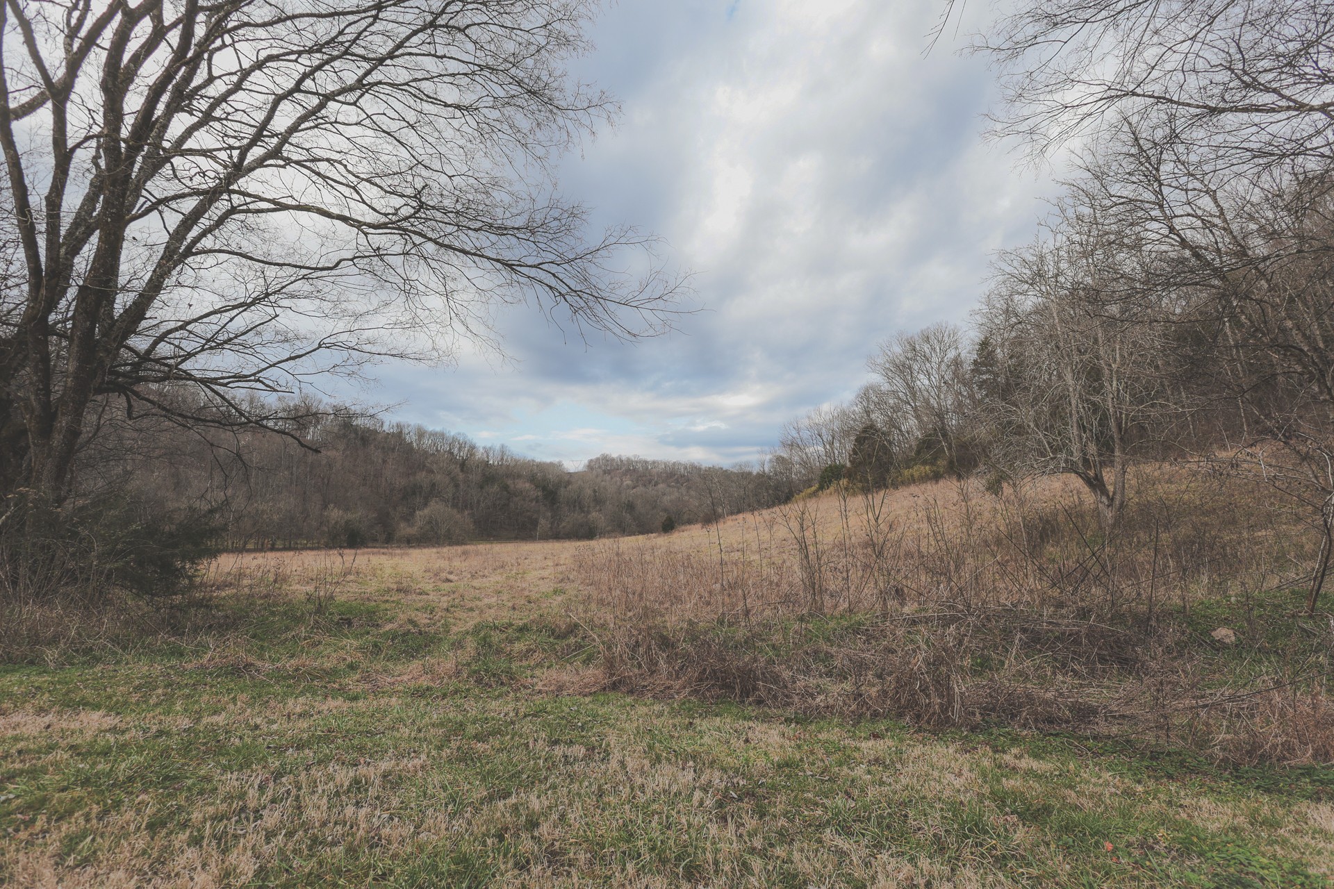 16431 Wallace Hollow Road Silver Point, TN 38582 - Photo 13 of 90