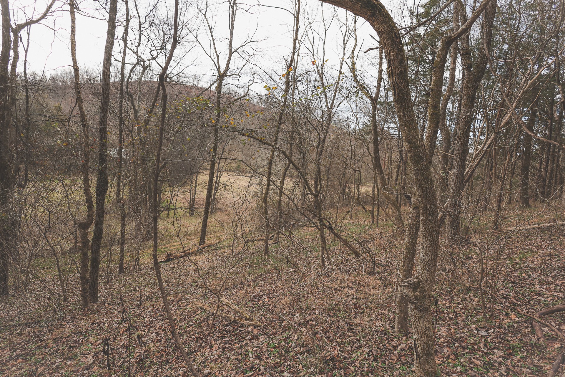 16431 Wallace Hollow Road Silver Point, TN 38582 - Photo 17 of 90