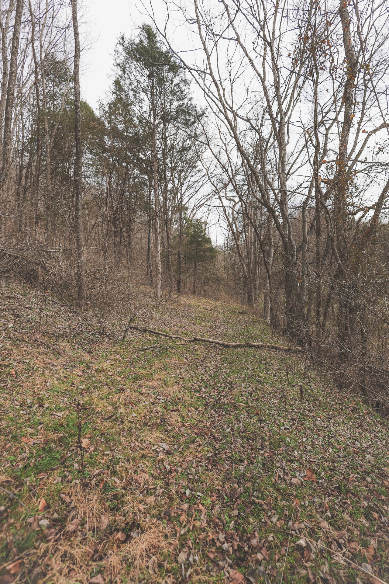 16431 Wallace Hollow Road Silver Point, TN 38582 - Photo 19 of 90