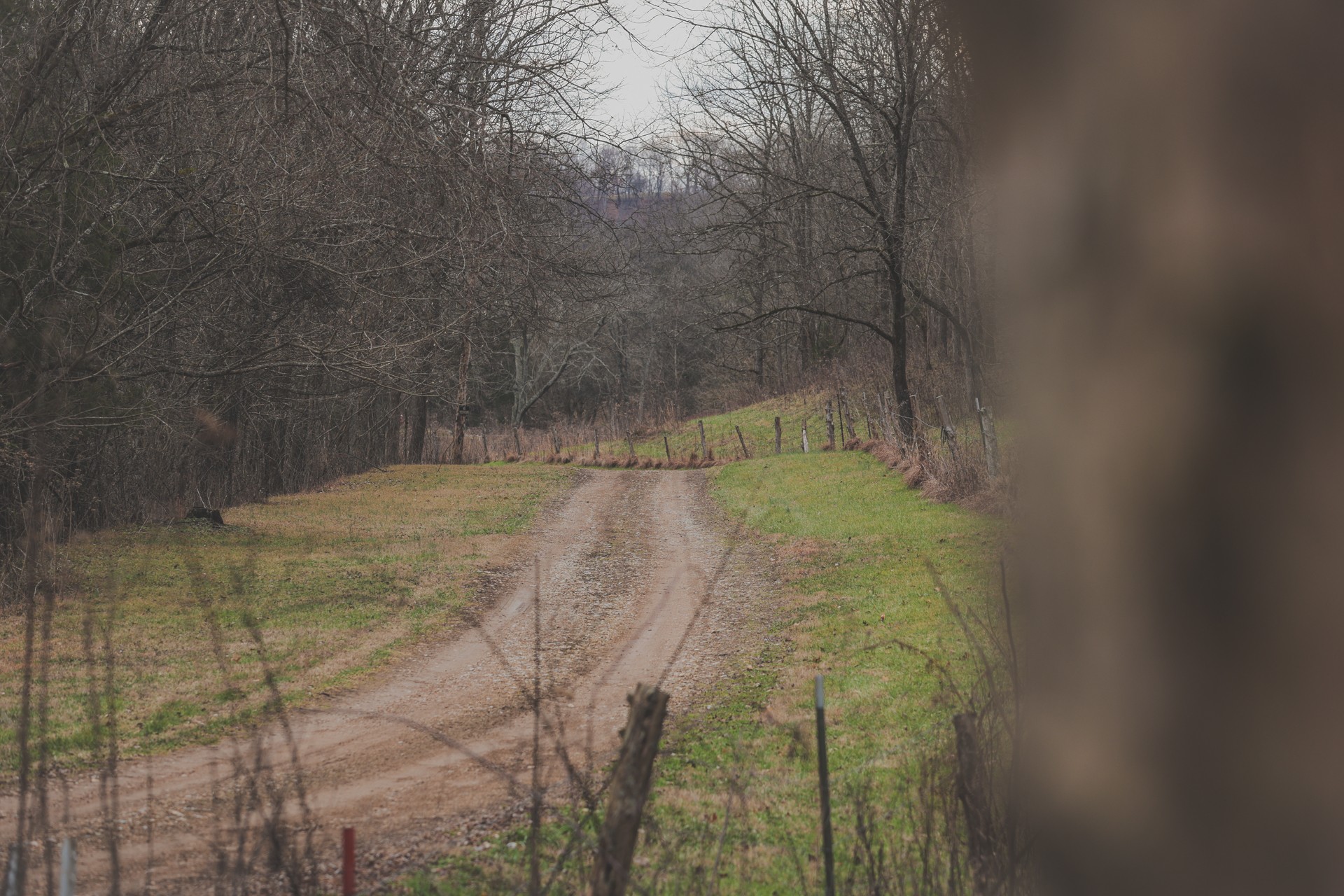 16431 Wallace Hollow Road Silver Point, TN 38582 - Photo 2 of 90