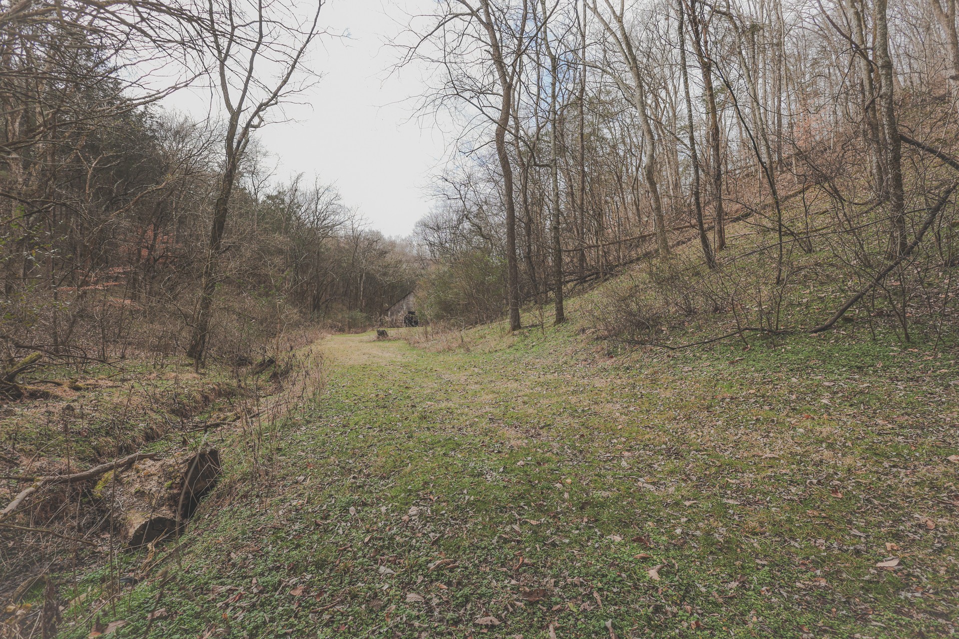 16431 Wallace Hollow Road Silver Point, TN 38582 - Photo 23 of 90