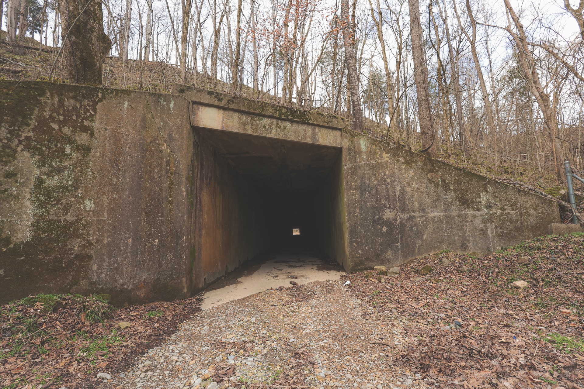 16431 Wallace Hollow Road Silver Point, TN 38582 - Photo 26 of 90