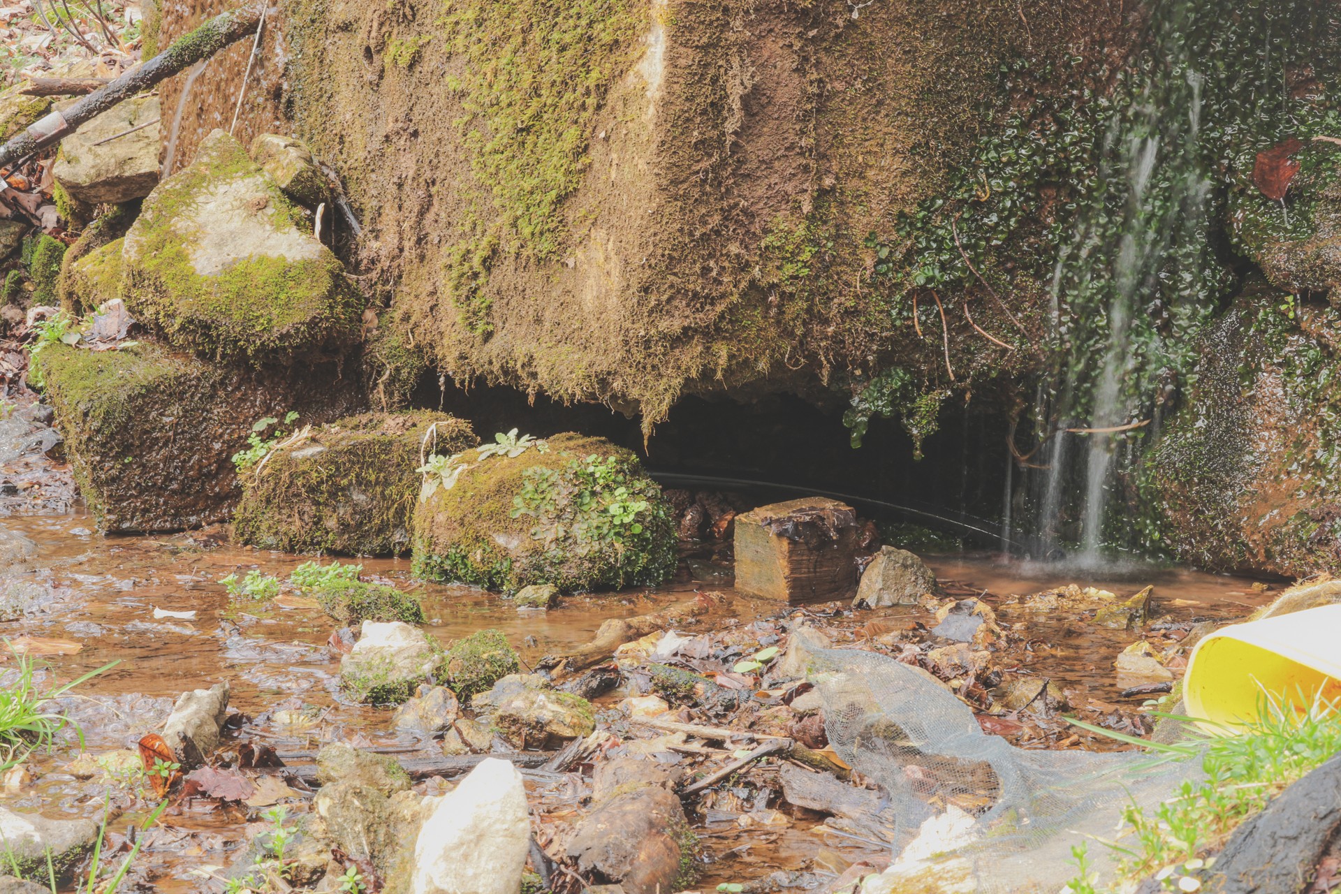 16431 Wallace Hollow Road Silver Point, TN 38582 - Photo 27 of 90