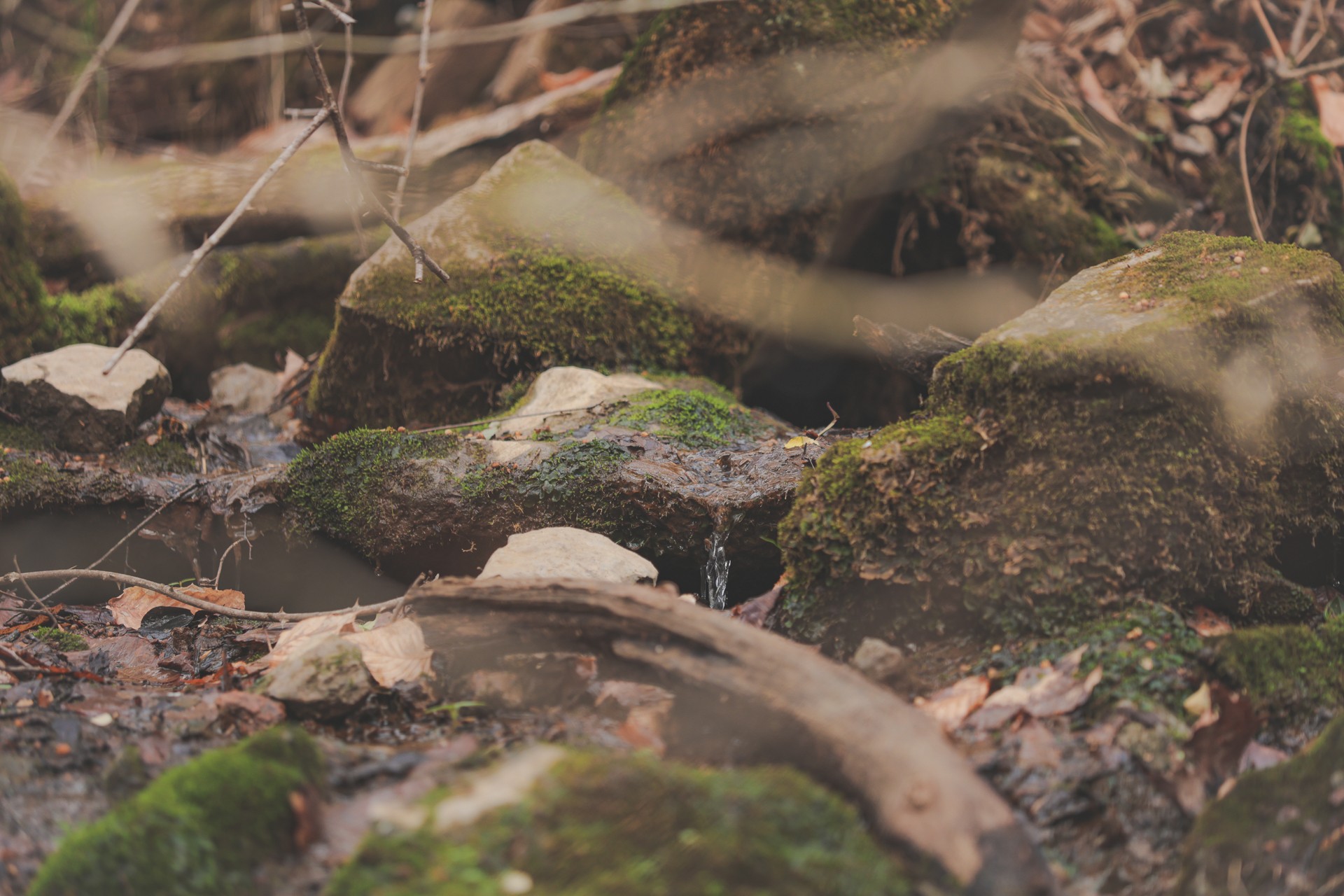 16431 Wallace Hollow Road Silver Point, TN 38582 - Photo 29 of 90