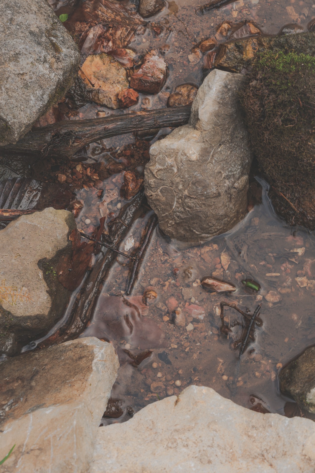 16431 Wallace Hollow Road Silver Point, TN 38582 - Photo 30 of 90