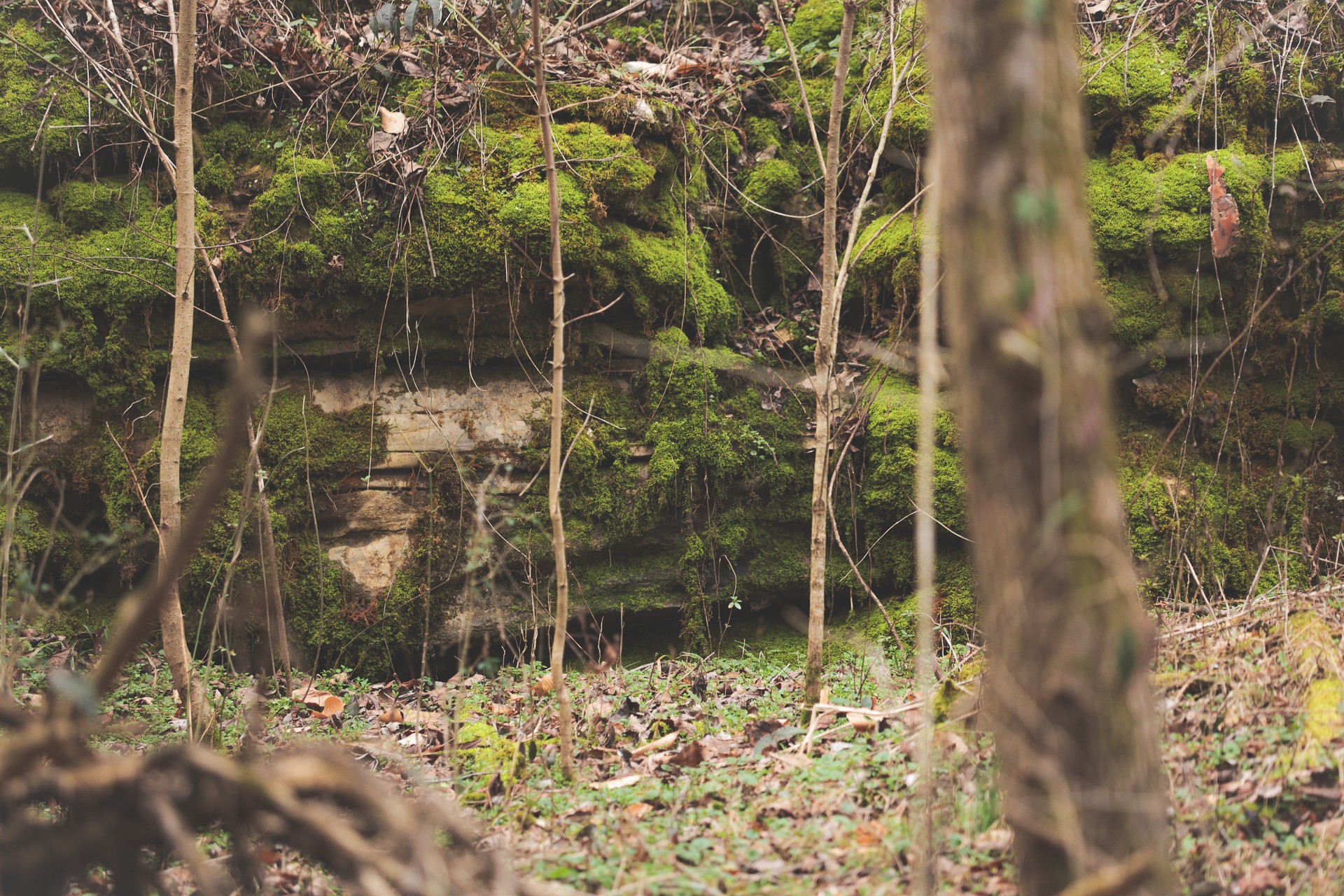 16431 Wallace Hollow Road Silver Point, TN 38582 - Photo 32 of 90