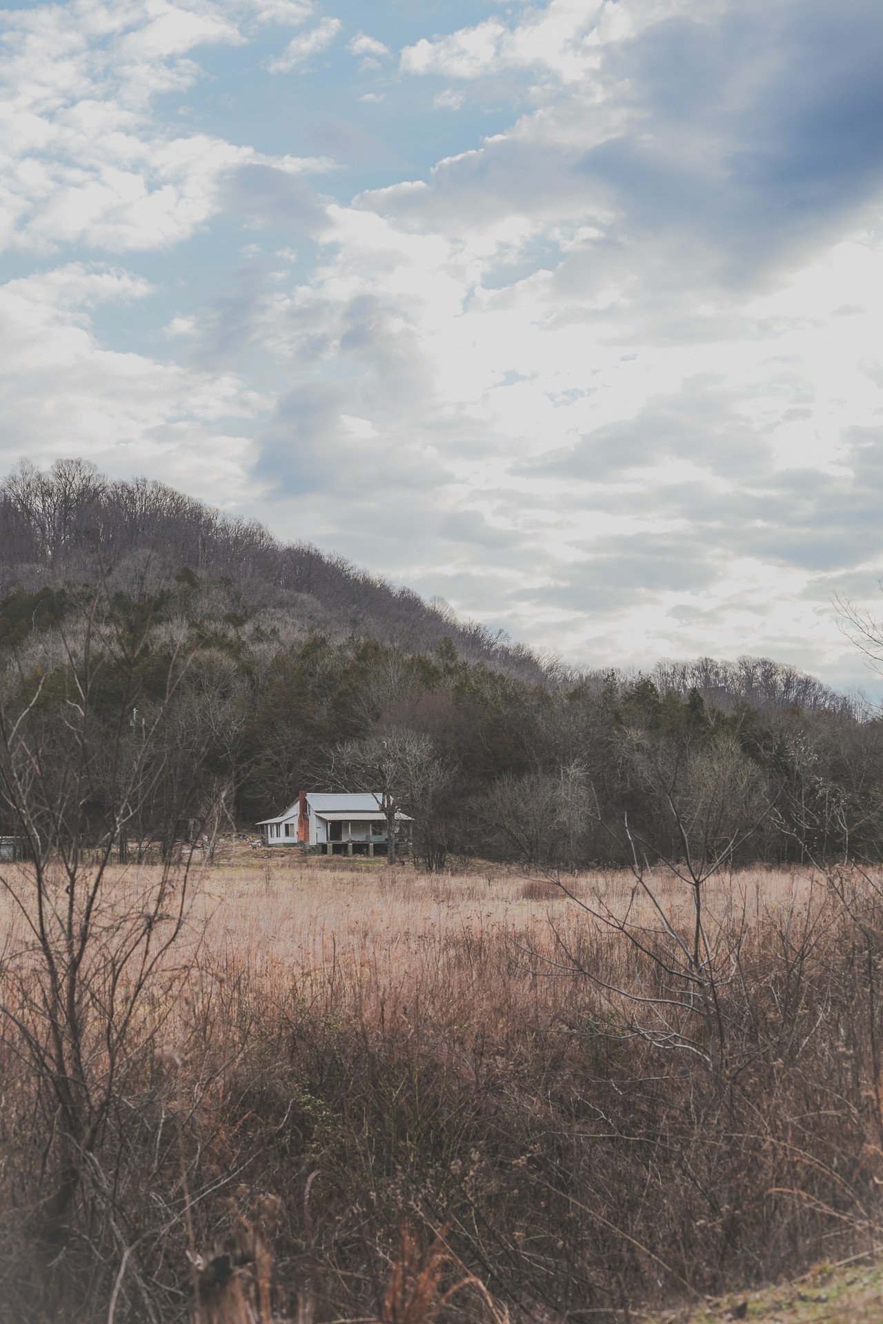 16431 Wallace Hollow Road Silver Point, TN 38582 - Photo 36 of 90