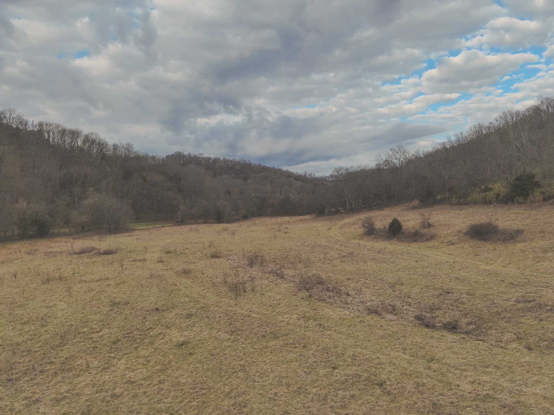 16431 Wallace Hollow Road Silver Point, TN 38582 - Photo 4 of 90