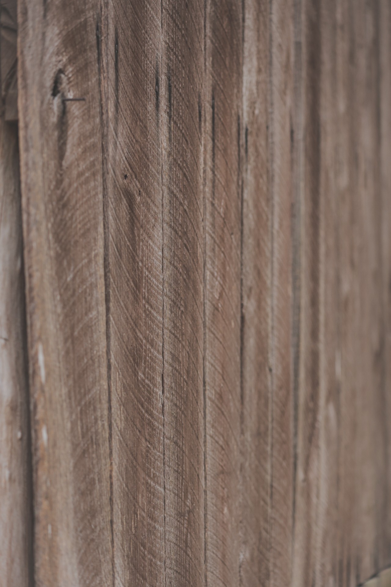 16431 Wallace Hollow Road Silver Point, TN 38582 - Photo 42 of 90