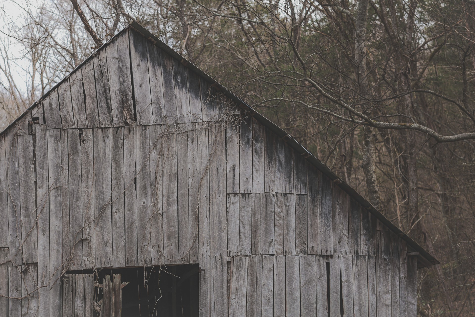 16431 Wallace Hollow Road Silver Point, TN 38582 - Photo 45 of 90