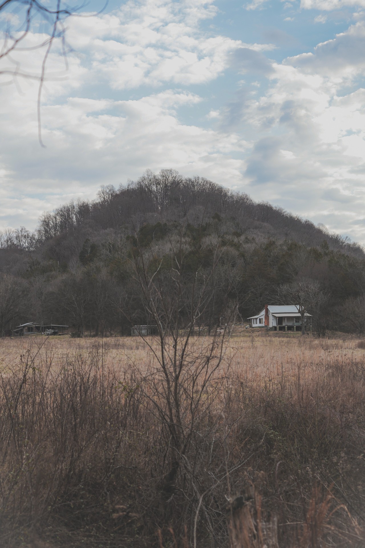 16431 Wallace Hollow Road Silver Point, TN 38582 - Photo 47 of 90