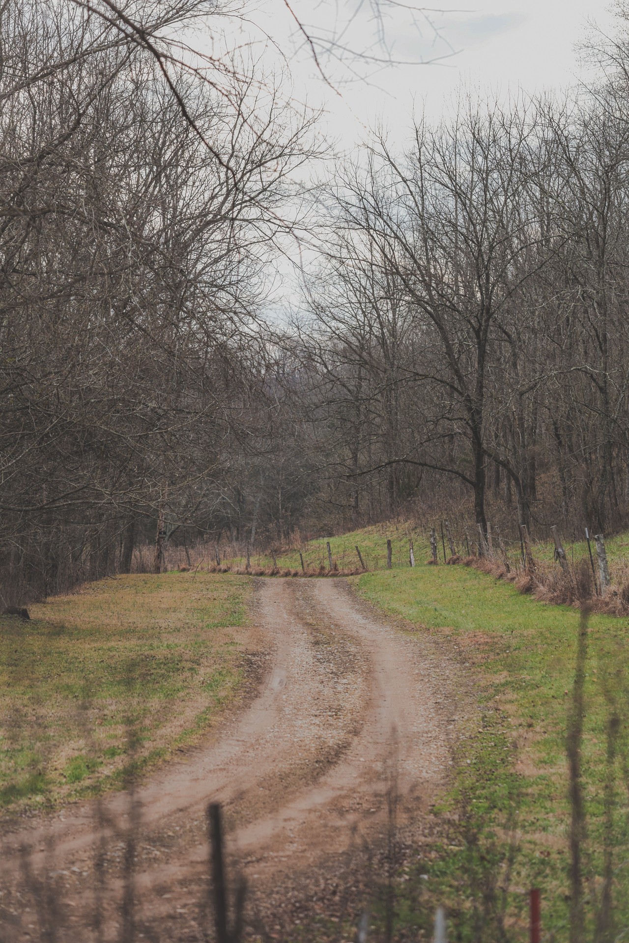 16431 Wallace Hollow Road Silver Point, TN 38582 - Photo 49 of 90