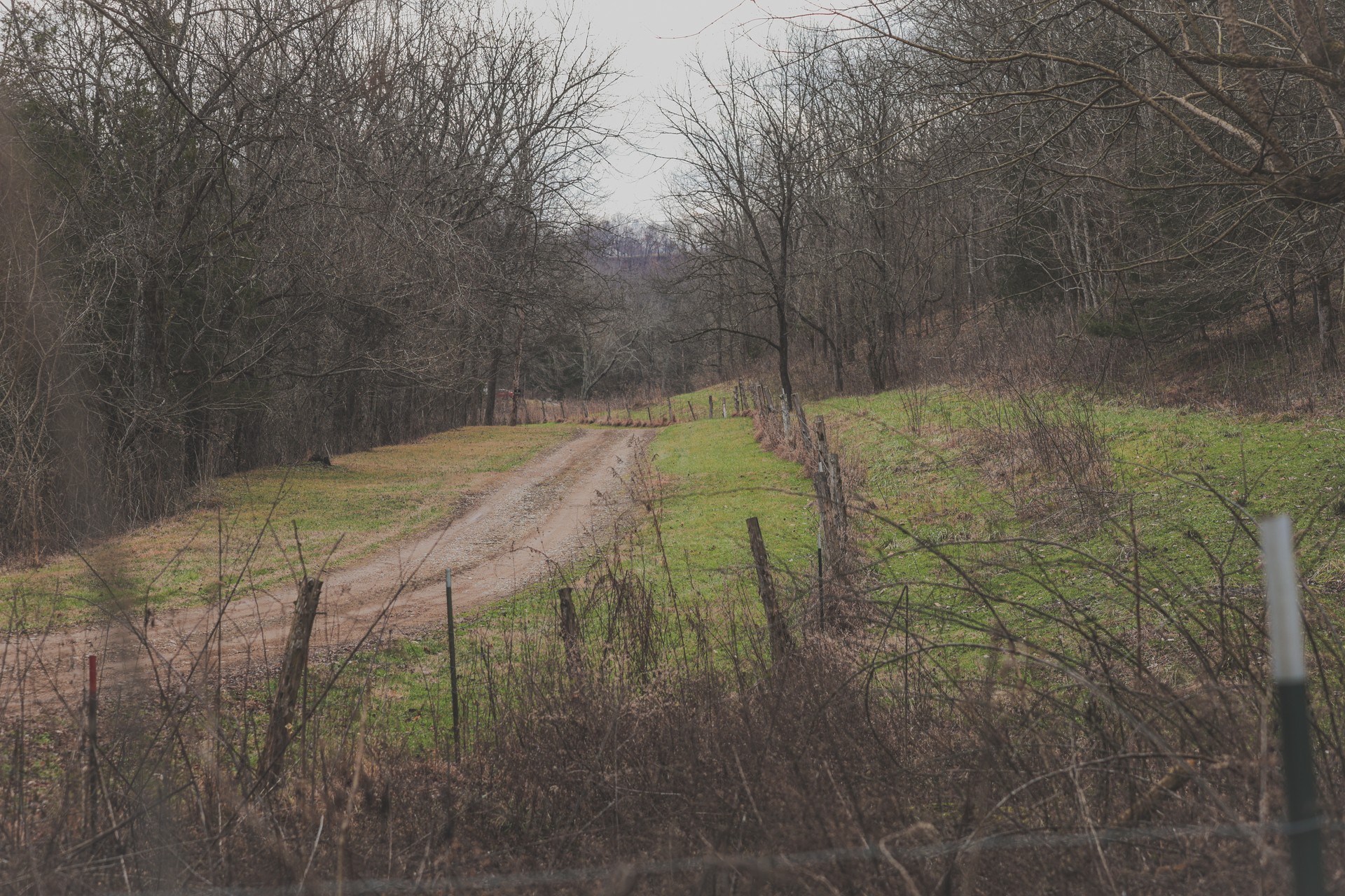 16431 Wallace Hollow Road Silver Point, TN 38582 - Photo 50 of 90