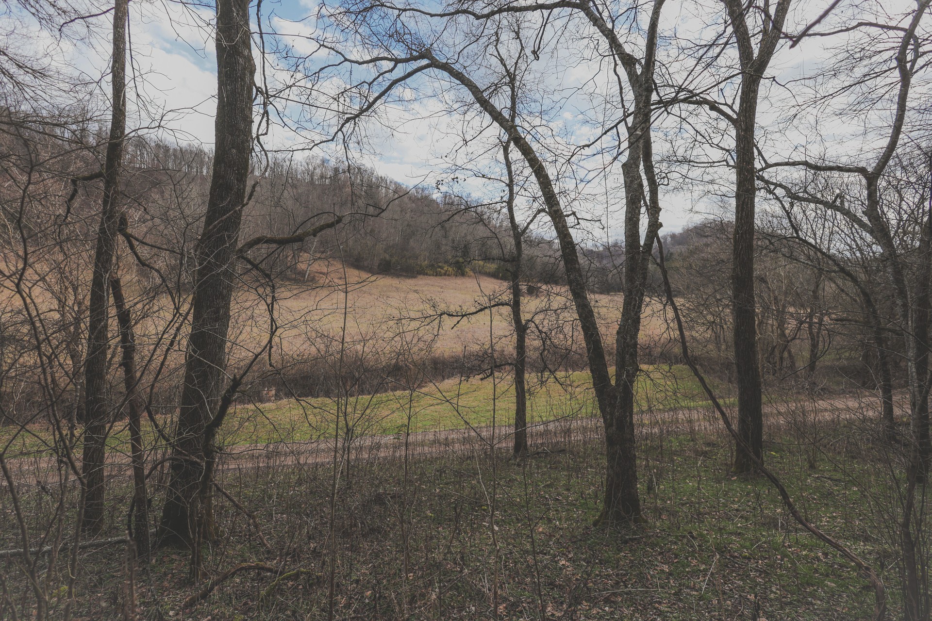 16431 Wallace Hollow Road Silver Point, TN 38582 - Photo 56 of 90