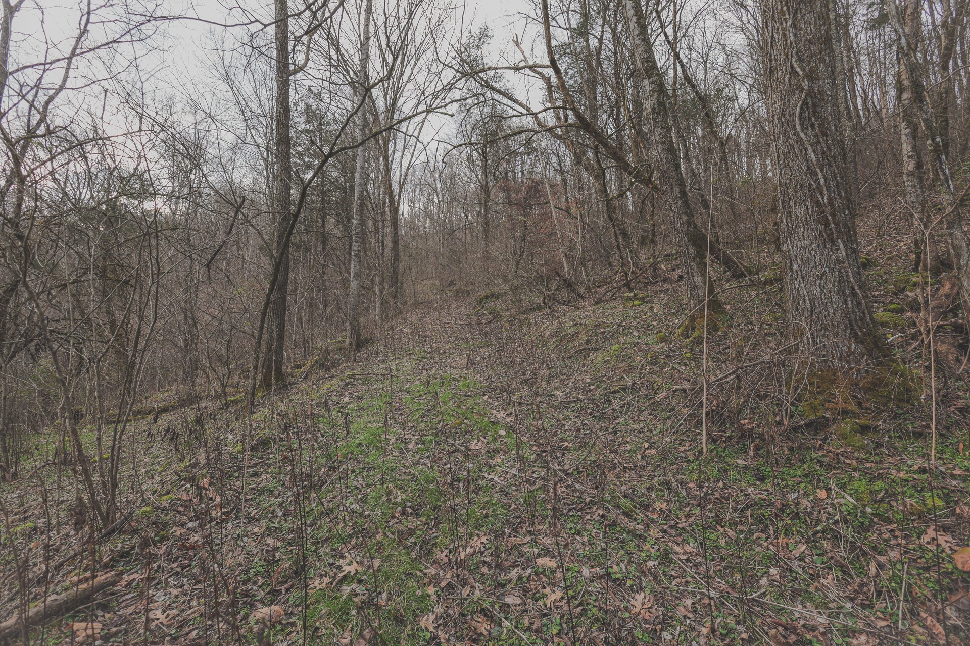 16431 Wallace Hollow Road Silver Point, TN 38582 - Photo 58 of 90